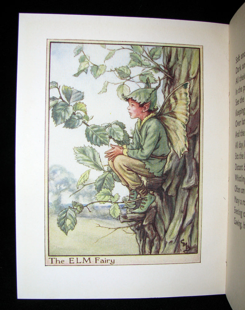 1930's Book - Cicely Mary Barker - FLOWER FAIRIES OF THE TREES