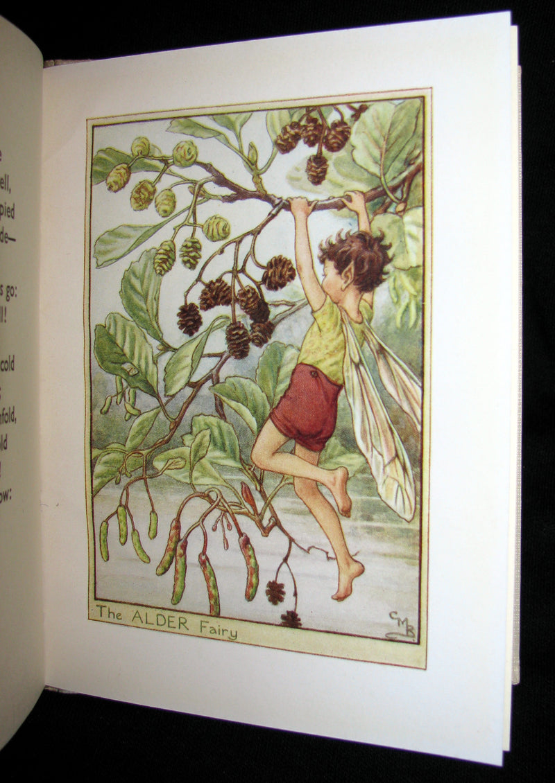 1930's Book - Cicely Mary Barker - FLOWER FAIRIES OF THE TREES
