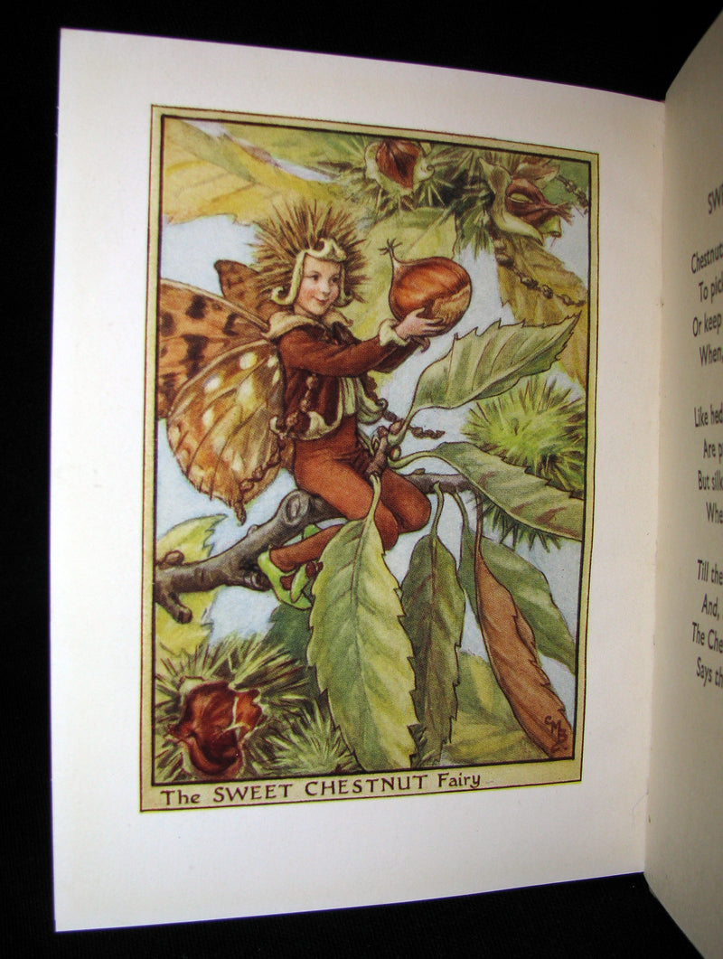 1930's Book - Cicely Mary Barker - FLOWER FAIRIES OF THE TREES