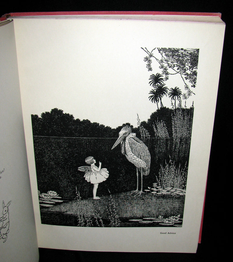 1929 Rare color illustrated Book ~ FAIRYLAND by Ida Renthoul Outhwaite First Edition