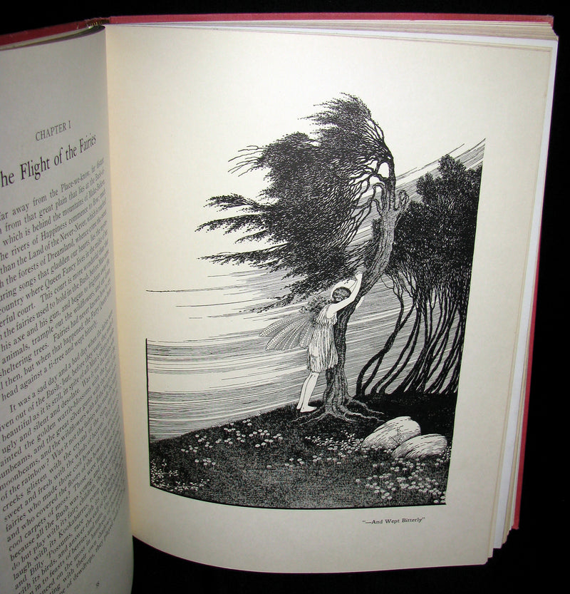 1929 Rare color illustrated Book ~ FAIRYLAND by Ida Renthoul Outhwaite First Edition