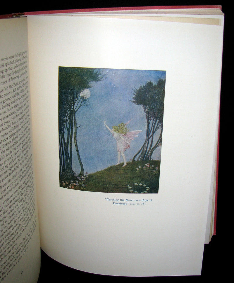1929 Rare color illustrated Book ~ FAIRYLAND by Ida Renthoul Outhwaite First Edition