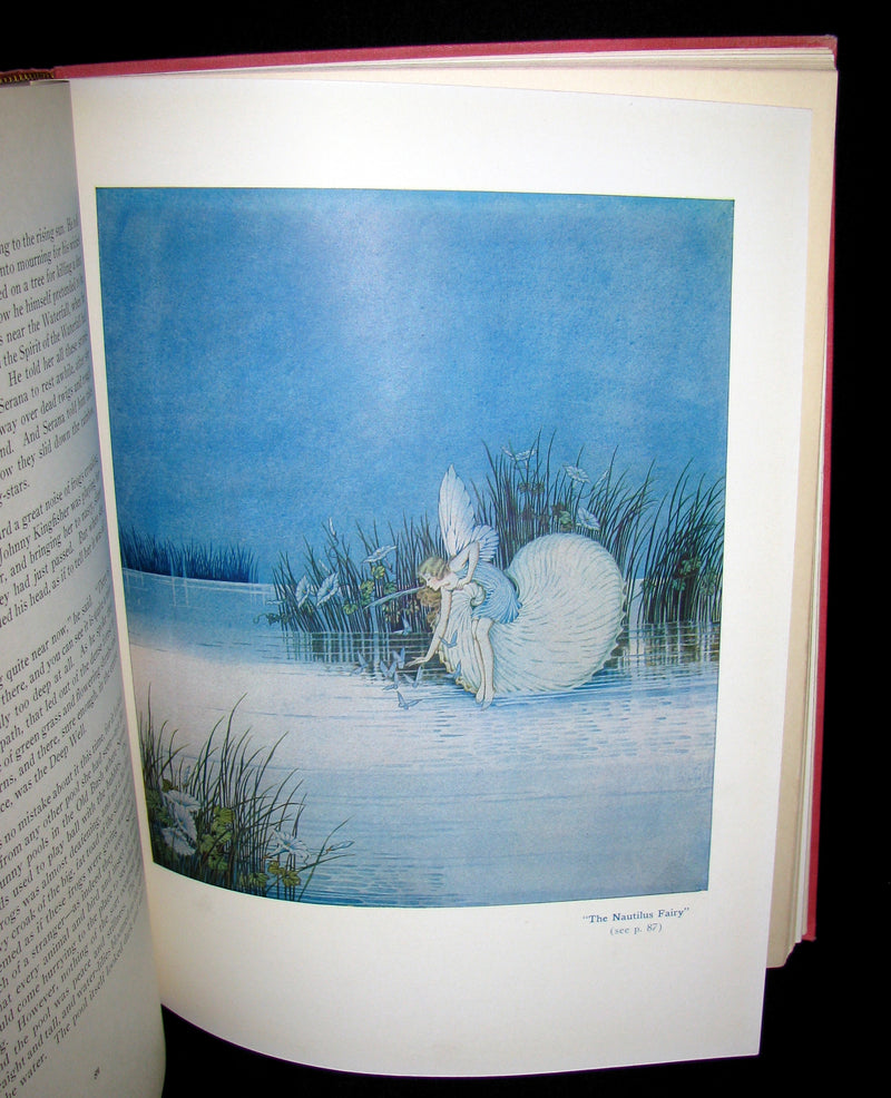 1929 Rare color illustrated Book ~ FAIRYLAND by Ida Renthoul Outhwaite First Edition