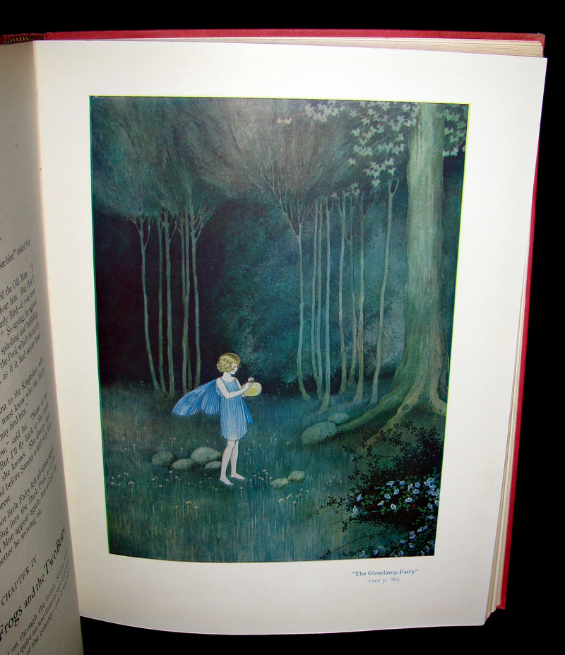 1929 Rare color illustrated Book ~ FAIRYLAND by Ida Renthoul Outhwaite First Edition