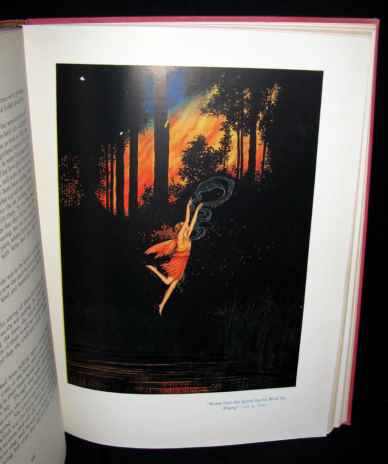 1929 Rare color illustrated Book ~ FAIRYLAND by Ida Renthoul Outhwaite First Edition