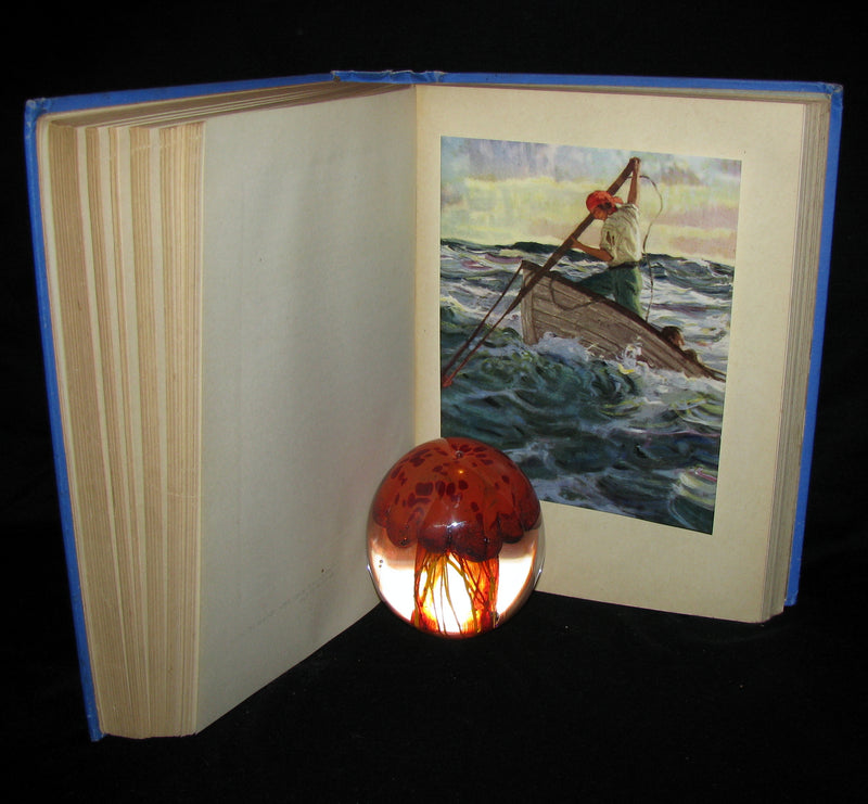 1930 Rare Book - Moby Dick or The White Whale by Herman Melville, illustrated by Mead Schaeffer