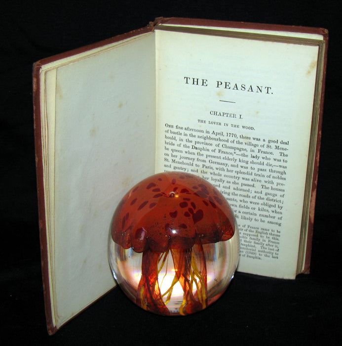 1875 Rare Book - The Peasant and the Prince by Harriet Martineau