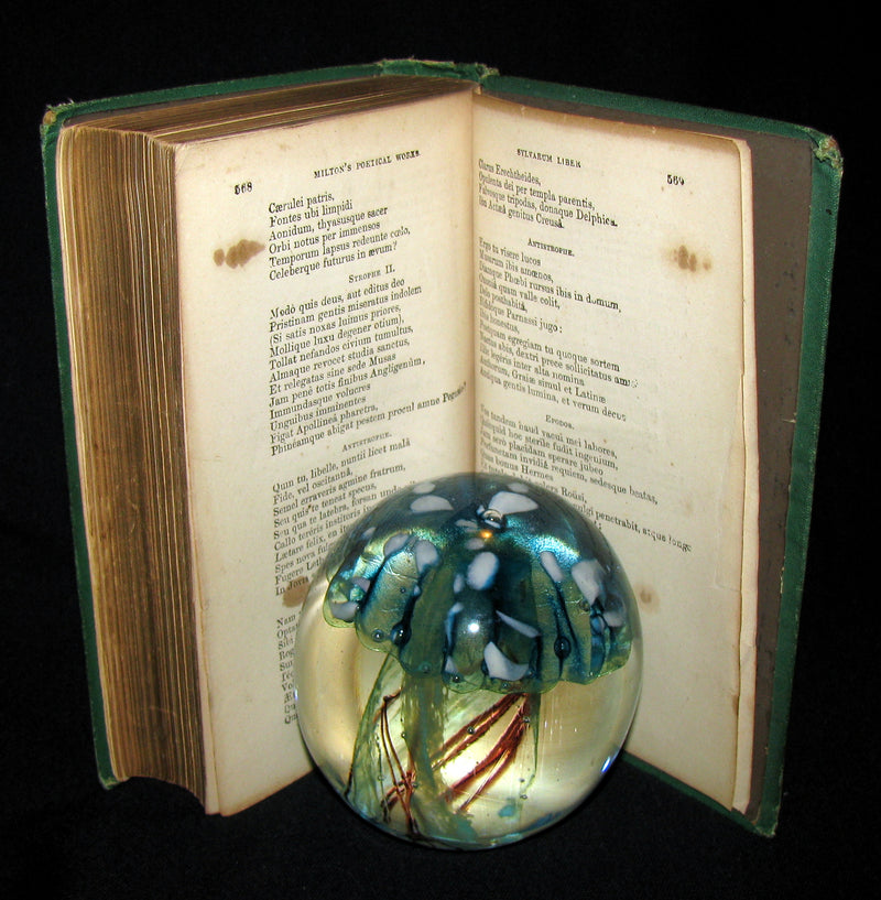 1885 Rare Book ~ The Poetical Works of John Milton illustrated by William Harvey