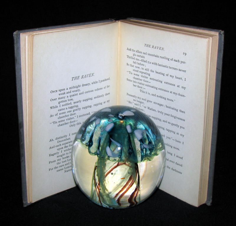 1895 Rare Book - The Raven and other Poems by Edgar Allan POE (Altemus Edition)