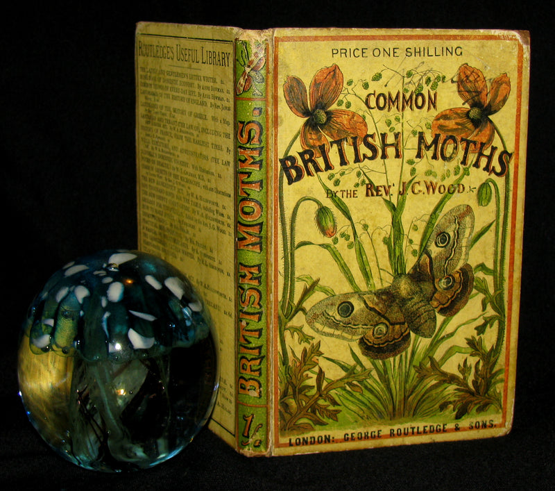 1880 Rare Book - The Common Moths of England by Rev. J. G. Wood