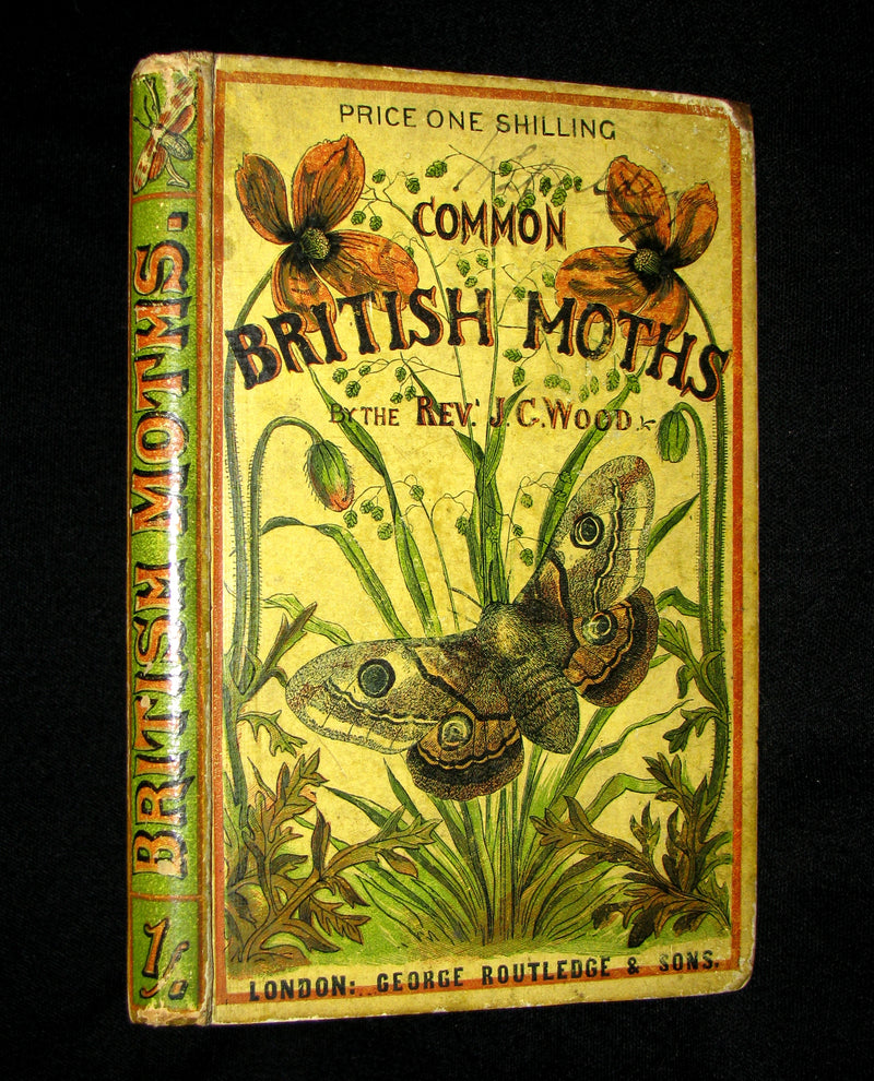 1880 Rare Book - The Common Moths of England by Rev. J. G. Wood