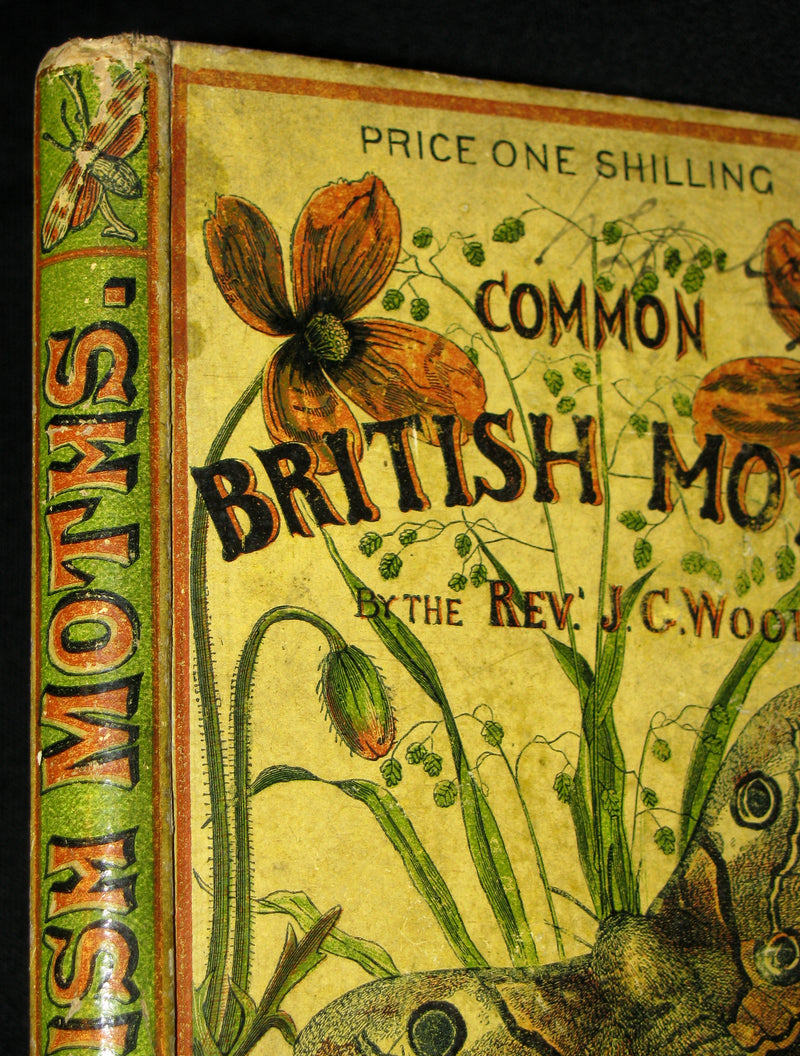 1880 Rare Book - The Common Moths of England by Rev. J. G. Wood