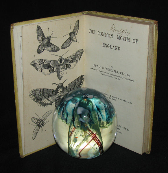 1880 Rare Book - The Common Moths of England by Rev. J. G. Wood