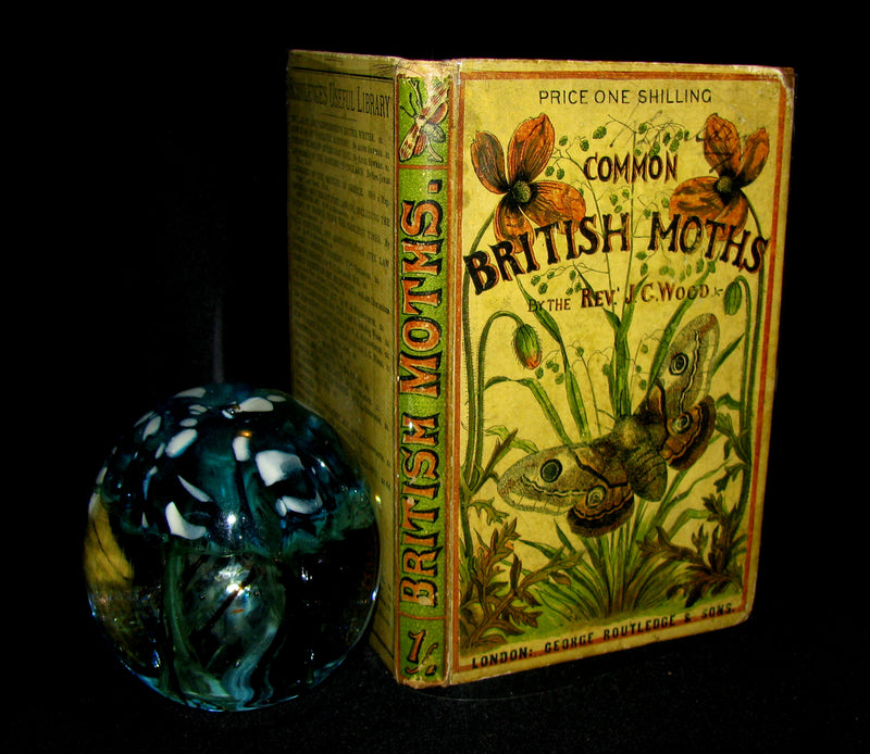 1880 Rare Book - The Common Moths of England by Rev. J. G. Wood