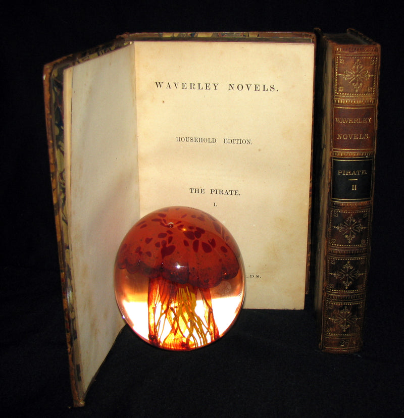 1858 Rare Book set  -  The Pirate (The Waverley Novels Household Edition - complete in 2 volumes)  by Walter Scott