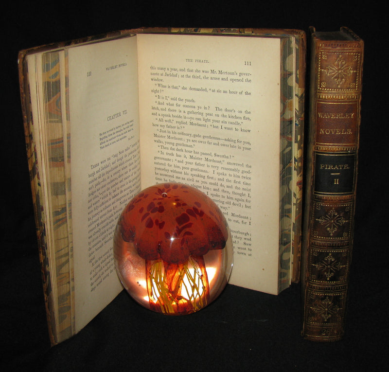 1858 Rare Book set  -  The Pirate (The Waverley Novels Household Edition - complete in 2 volumes)  by Walter Scott