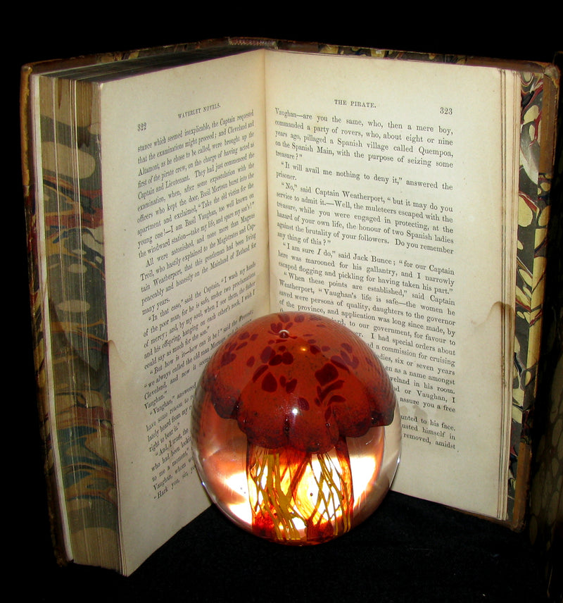 1858 Rare Book set  -  The Pirate (The Waverley Novels Household Edition - complete in 2 volumes)  by Walter Scott