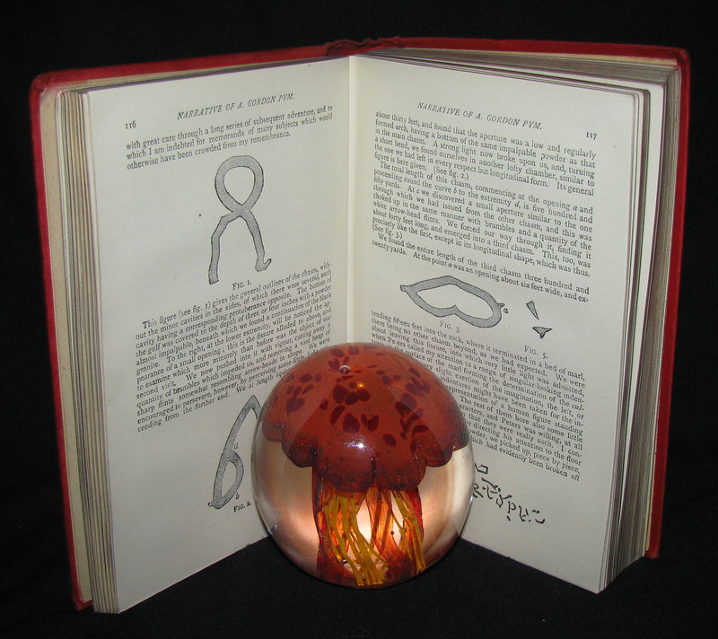 1891 Rare Book - Edgar Allan POE Tales of Adventure and Mystery and Imagination