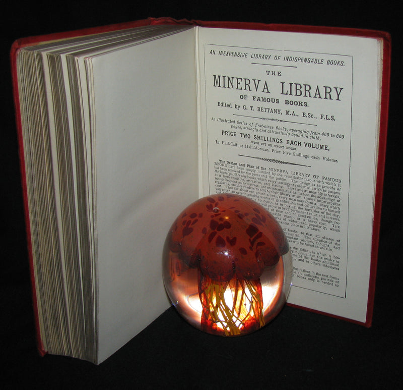 1891 Rare Book - Edgar Allan POE Tales of Adventure and Mystery and Imagination