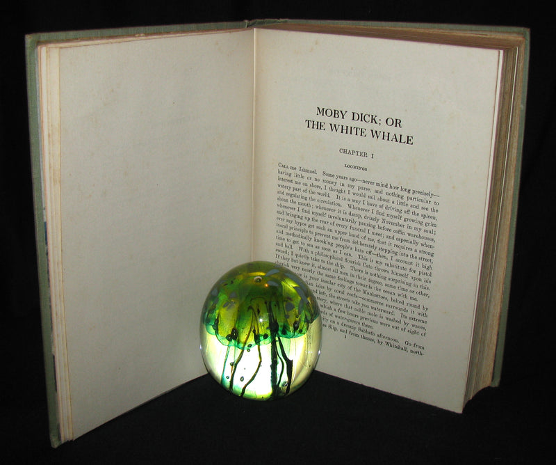 1930 Rare Book - Moby Dick or The White Whale by Herman Melville, illustrated by Mead Schaeffer