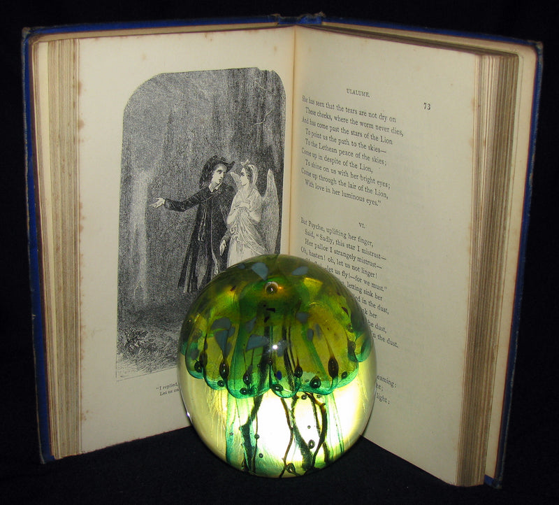 1860's Rare Book - The Poetical Works of Edgar Allan Poe. Edited by James Hannay. Illustrated.