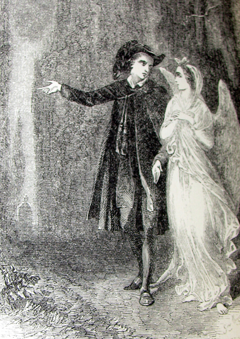 1860's Rare Book - The Poetical Works of Edgar Allan Poe. Edited by James Hannay. Illustrated.