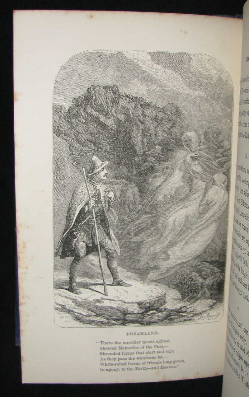 1860's Rare Book - The Poetical Works of Edgar Allan Poe. Edited by James Hannay. Illustrated.