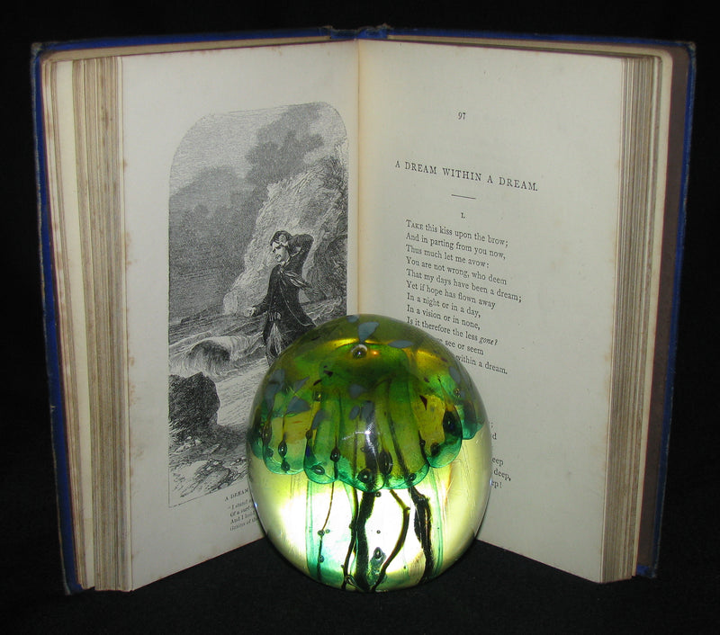 1860's Rare Book - The Poetical Works of Edgar Allan Poe. Edited by James Hannay. Illustrated.
