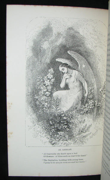 1860's Rare Book - The Poetical Works of Edgar Allan Poe. Edited by James Hannay. Illustrated.