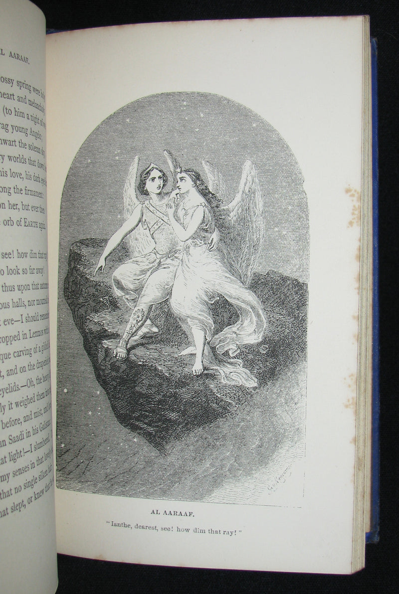 1860's Rare Book - The Poetical Works of Edgar Allan Poe. Edited by James Hannay. Illustrated.