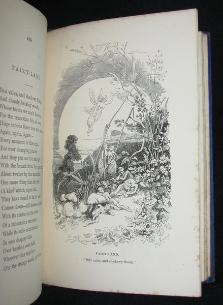 1860's Rare Book - The Poetical Works of Edgar Allan Poe. Edited by James Hannay. Illustrated.