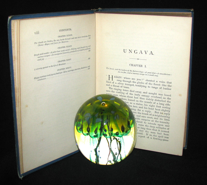 1893 Rare Victorian Book - UNGAVA  A Tale of Esquimau Land by Robert Michael Ballantyne