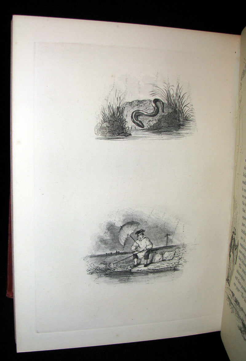 1877 Rare Victorian Book - The Angler's Souvenir. By P. Fisher. Edited by G. Christopher Davies