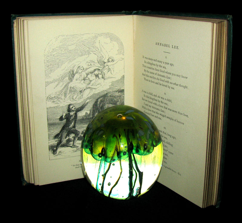 1860 Rare Victorian Book - The Poetical Works of EDGAR ALLAN POE. Illustrated.