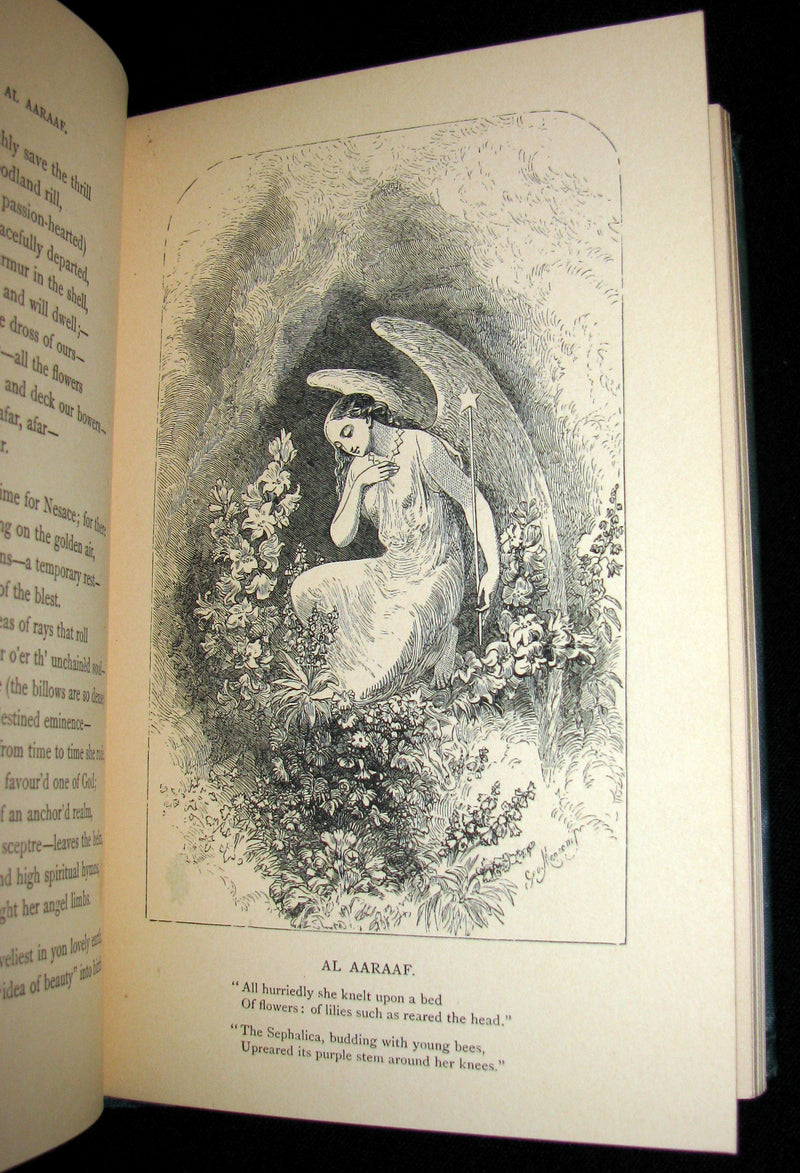 1860 Rare Victorian Book - The Poetical Works of EDGAR ALLAN POE. Illustrated.