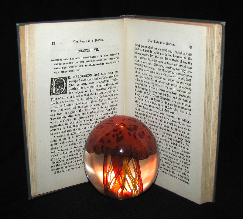1898 Rare Victorian Book - FIVE WEEKS IN A BALLOON by JULES VERNE