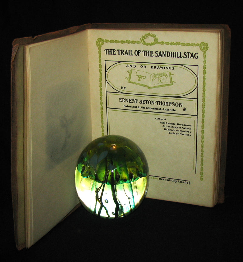 1899 Rare Limited First Edition - The Trail of the Sandhill Stag by Ernest Thompson Seton #52/250