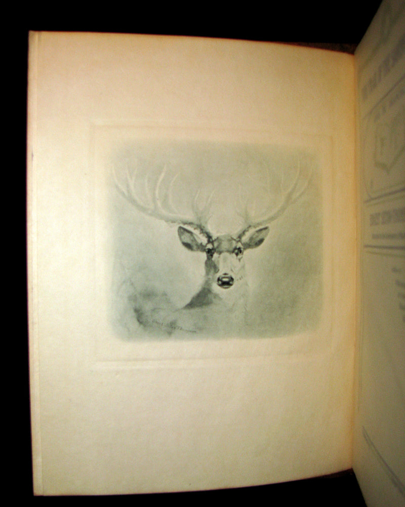 1899 Rare Limited First Edition - The Trail of the Sandhill Stag by Ernest Thompson Seton #52/250