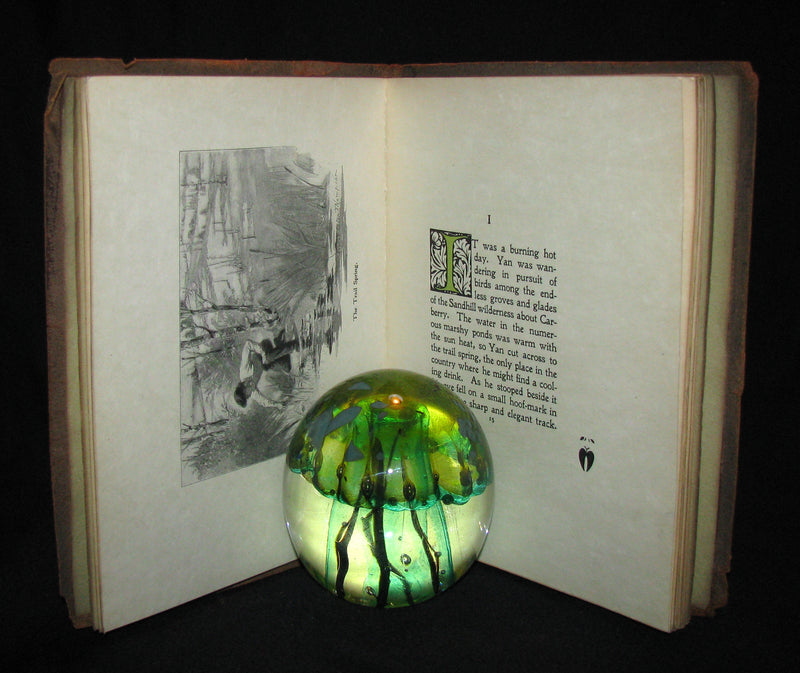 1899 Rare Limited First Edition - The Trail of the Sandhill Stag by Ernest Thompson Seton #52/250