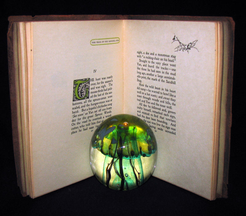 1899 Rare Limited First Edition - The Trail of the Sandhill Stag by Ernest Thompson Seton #52/250