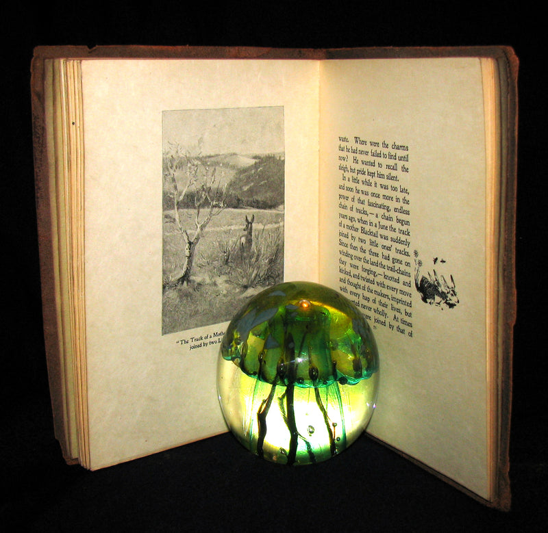 1899 Rare Limited First Edition - The Trail of the Sandhill Stag by Ernest Thompson Seton #52/250