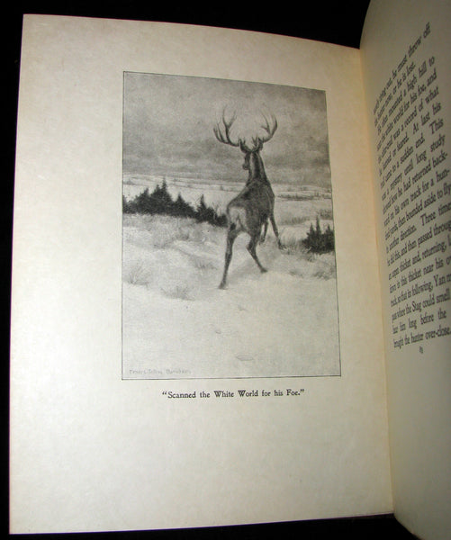 1899 Rare Limited First Edition - The Trail of the Sandhill Stag by Ernest Thompson Seton #52/250