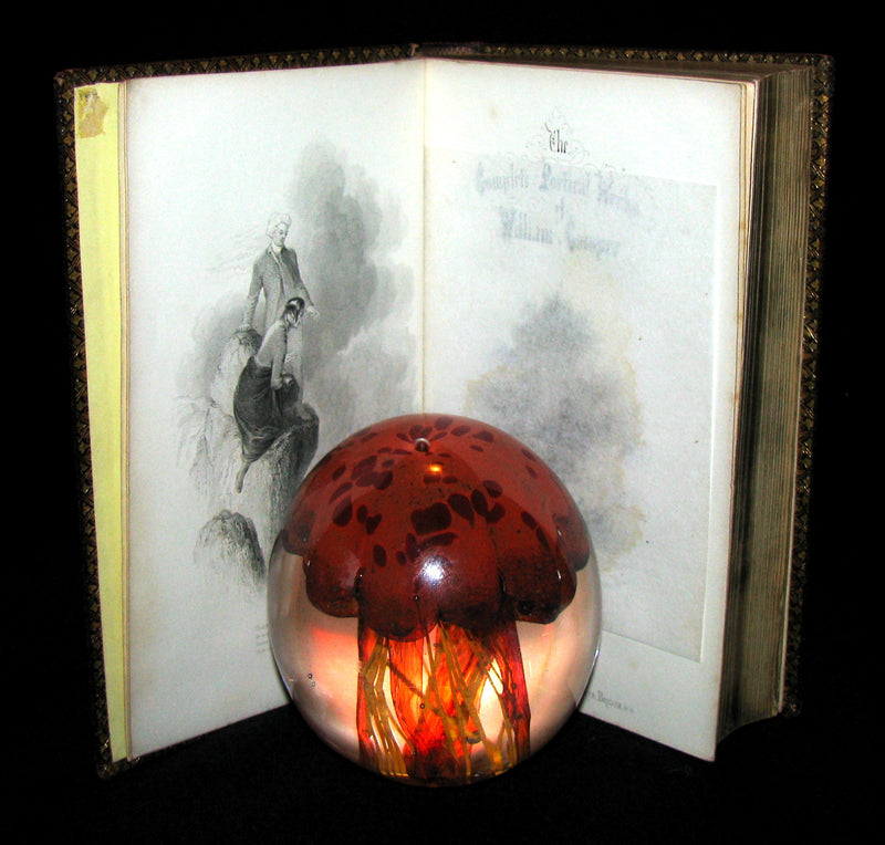 1850 Rare Book -  The Complete Poetical Works of William Cowper, illustrated.