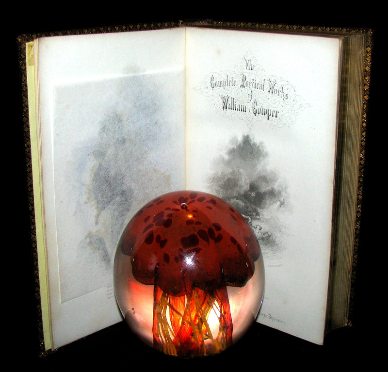 1850 Rare Book -  The Complete Poetical Works of William Cowper, illustrated.