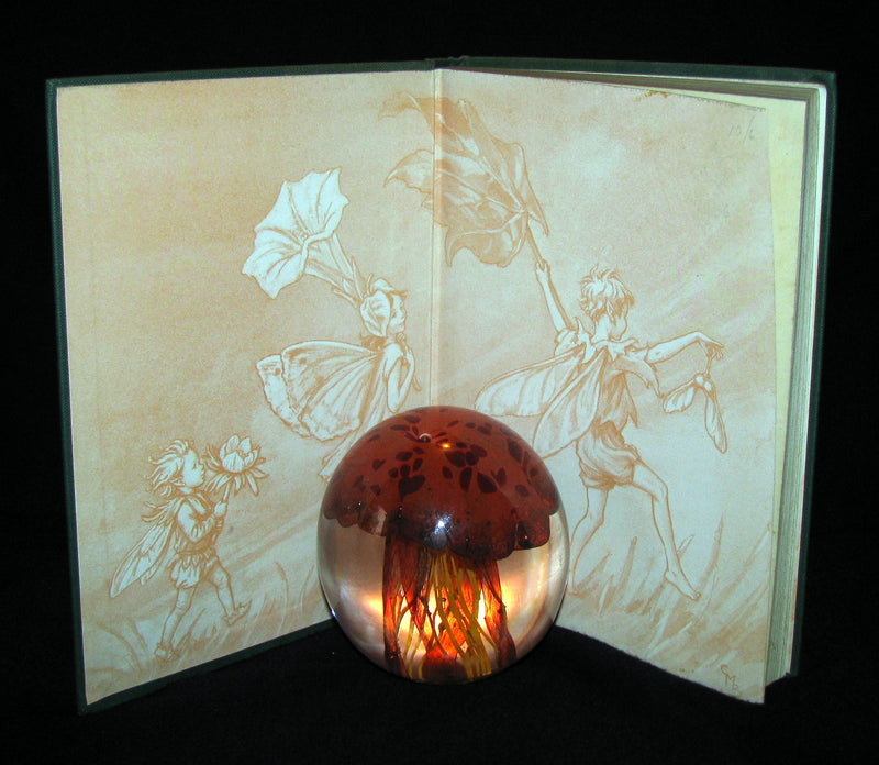 1950 - Cicely Mary Barker - FAIRIES OF THE FLOWERS AND TREES - 1st Edition