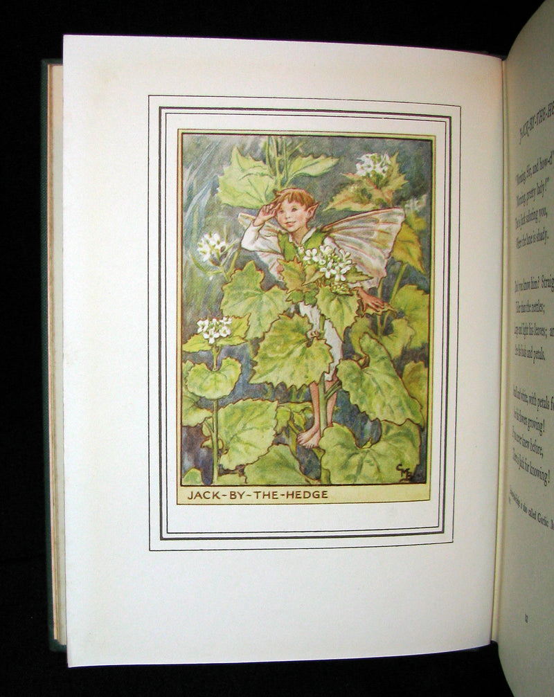 1950 - Cicely Mary Barker - FAIRIES OF THE FLOWERS AND TREES - 1st Edition