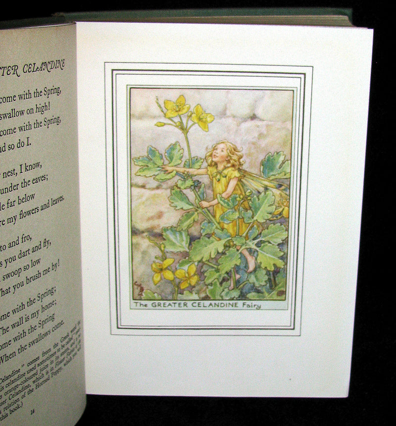 1950 - Cicely Mary Barker - FAIRIES OF THE FLOWERS AND TREES - 1st Edition