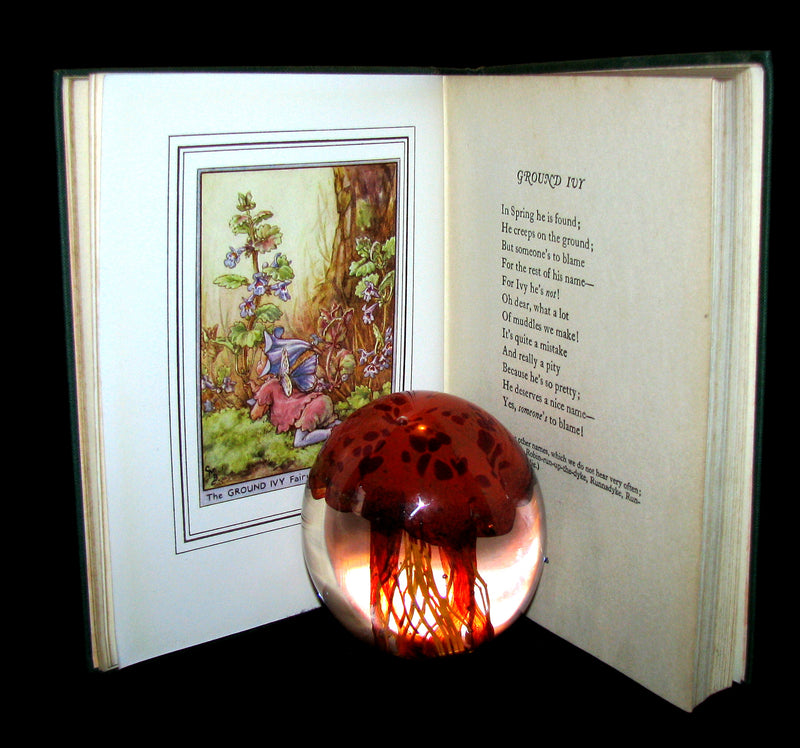 1950 - Cicely Mary Barker - FAIRIES OF THE FLOWERS AND TREES - 1st Edition