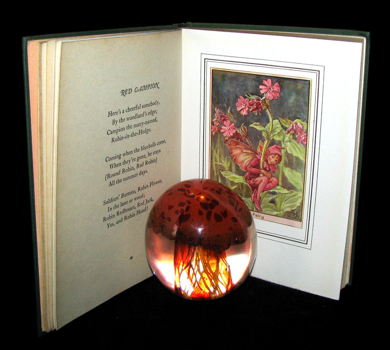 1950 - Cicely Mary Barker - FAIRIES OF THE FLOWERS AND TREES - 1st Edition