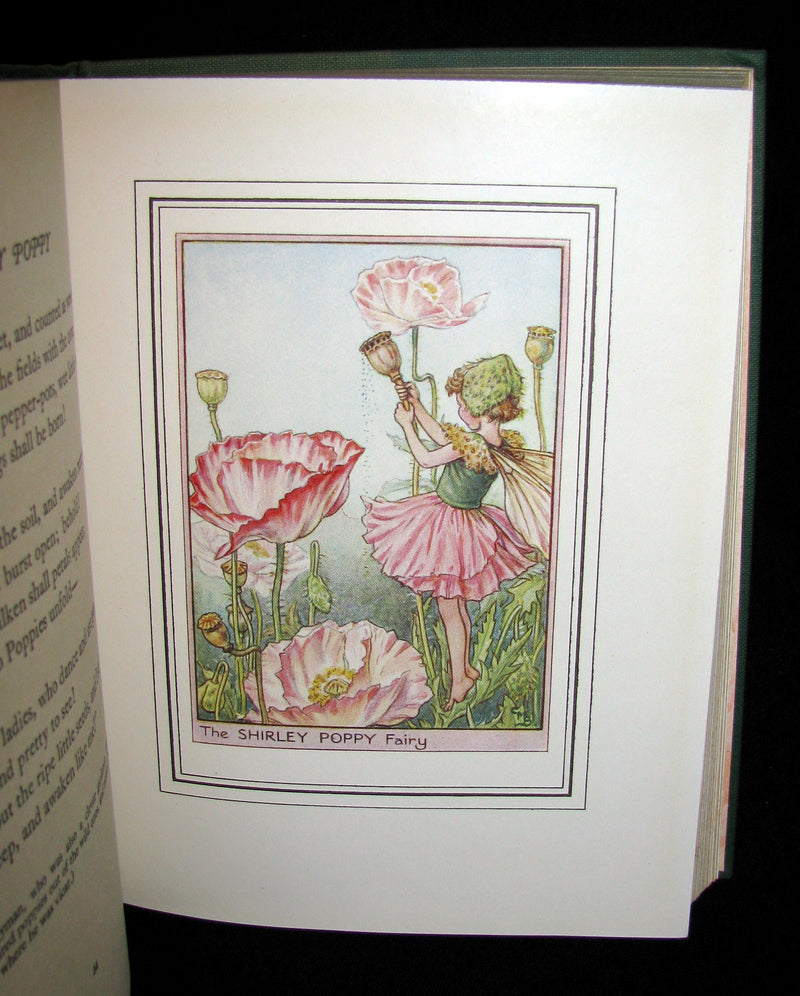 1950 - Cicely Mary Barker - FAIRIES OF THE FLOWERS AND TREES - 1st Edition
